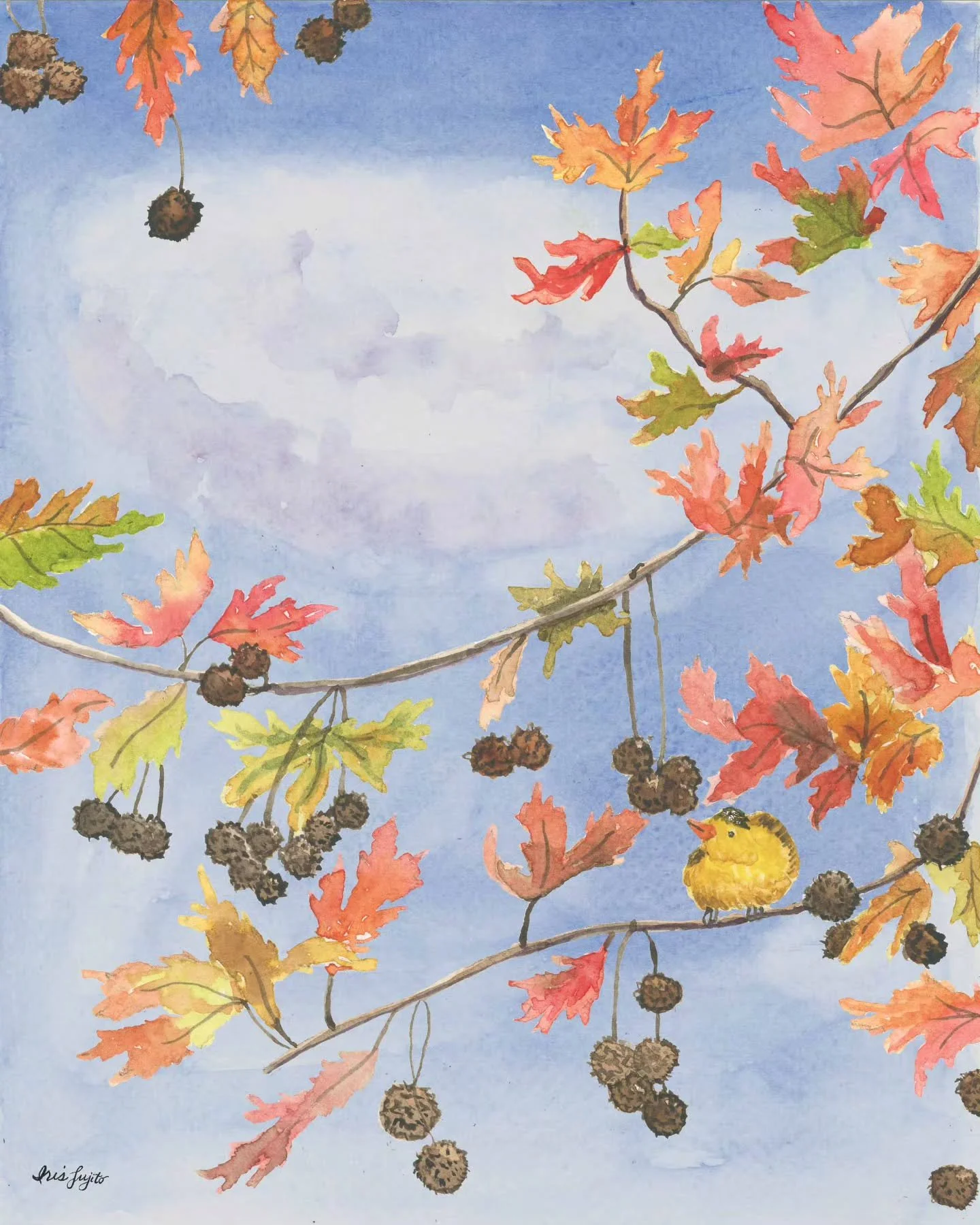 The prompt for Jehane's Golden Thread is &quot;Seed Pods&quot;. A curious little visitor landed among the sweet gum seed pods, deciding whether to snack or scatter them.

The seed pod reminds me that growth often begins with releasing what was to mak