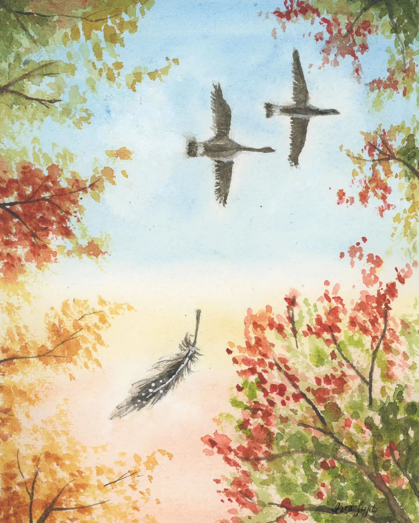 In a quiet moment this weekend, I painted a peaceful autumn watercolor scene with geese migrating overhead as a single feather drifts down. 

While taking my senior dog out this season, I've been watching the leaves shift colors and seeing the birds 