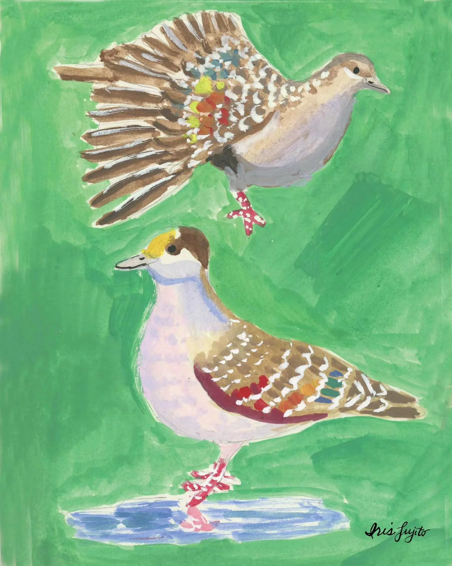 It's National Pigeon Day!  Back in January when I spent a few days painting birds, I had no idea that the common bronzewing, a species of pigeon, was such a colorful bird.  They have these amazing patches of red, green, and blue on their wings.  My e