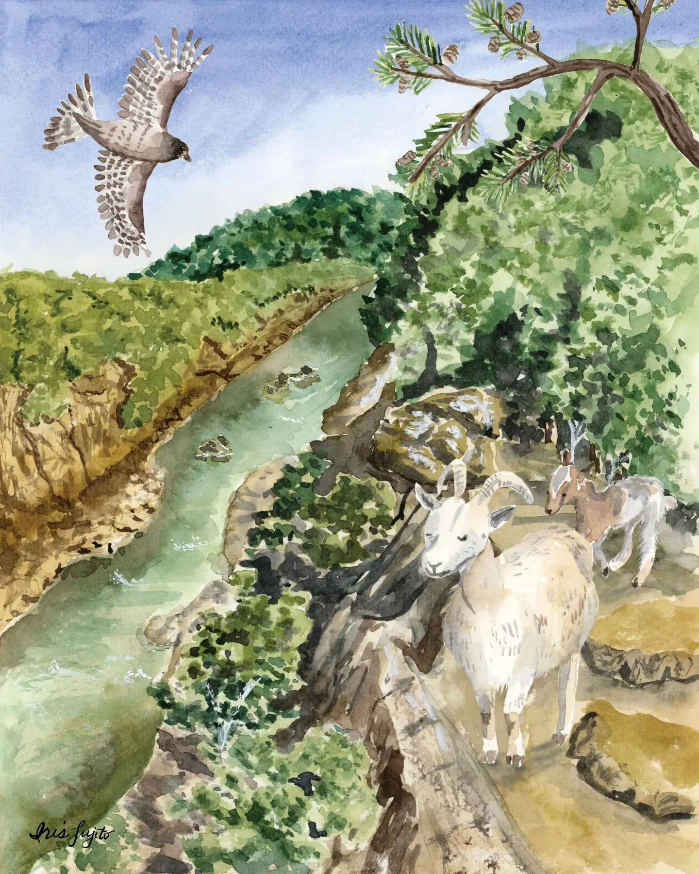 This watercolor illustration is my response to Jehane's Golden Thread prompt "River Trail." I was inspired by the Billy Goat Trail, a local hiking trail with some genuinely challenging sections and I've hiked it in my younger years. There a