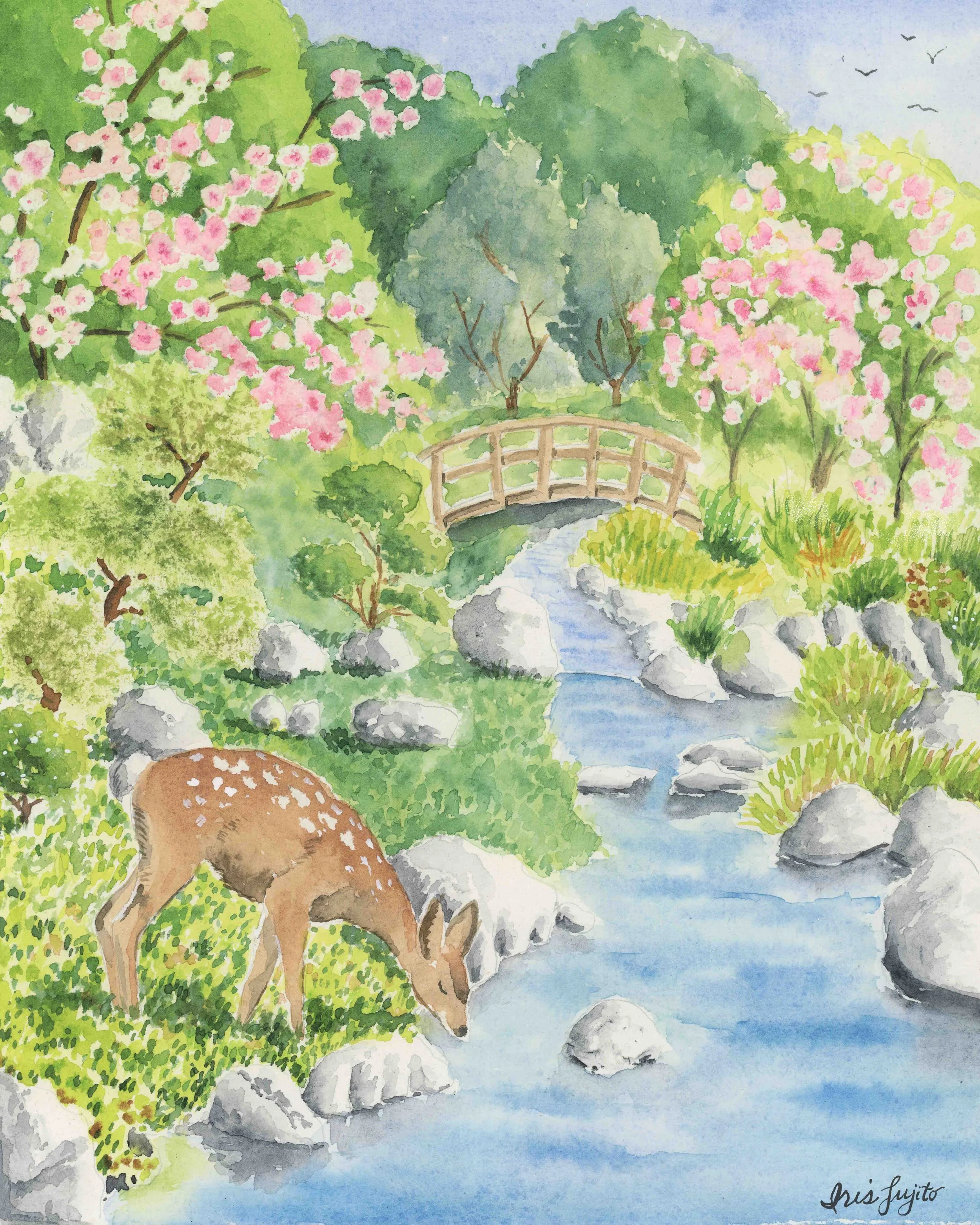 deer-cherryblossoms.jpg