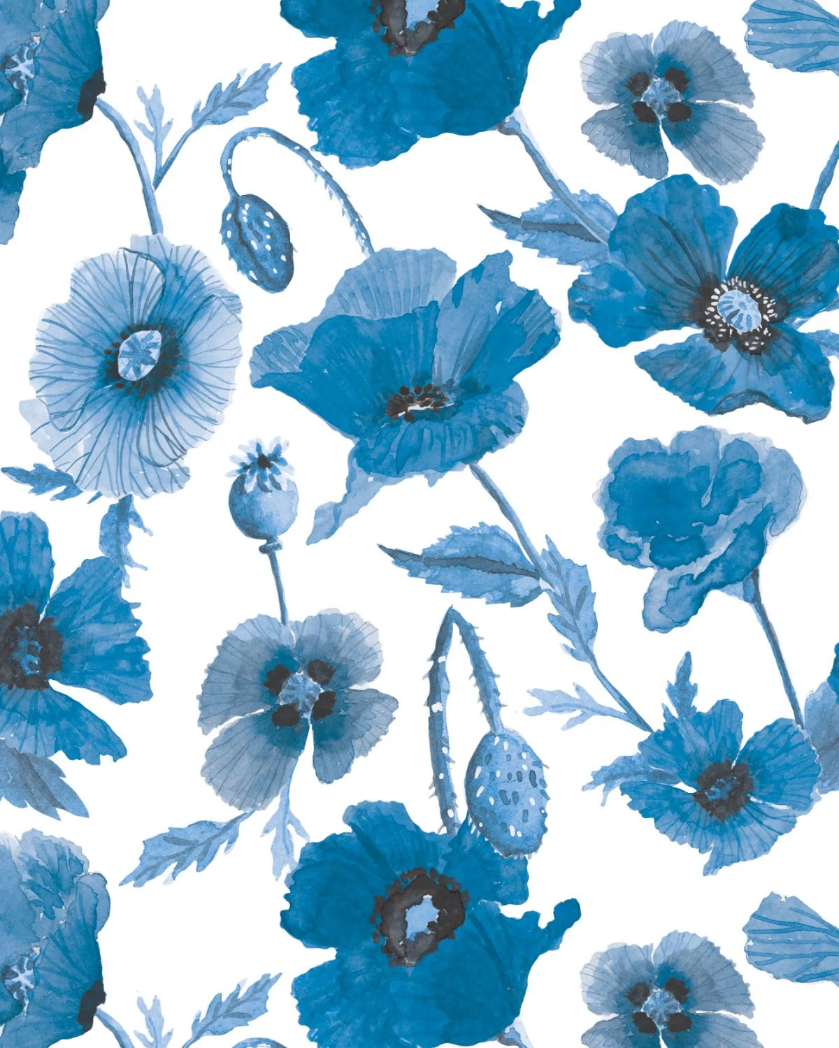 blue_poppies.jpg