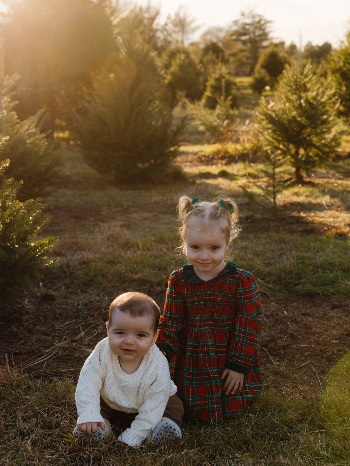 This years tree farm sessions were unmatched 🥰✨