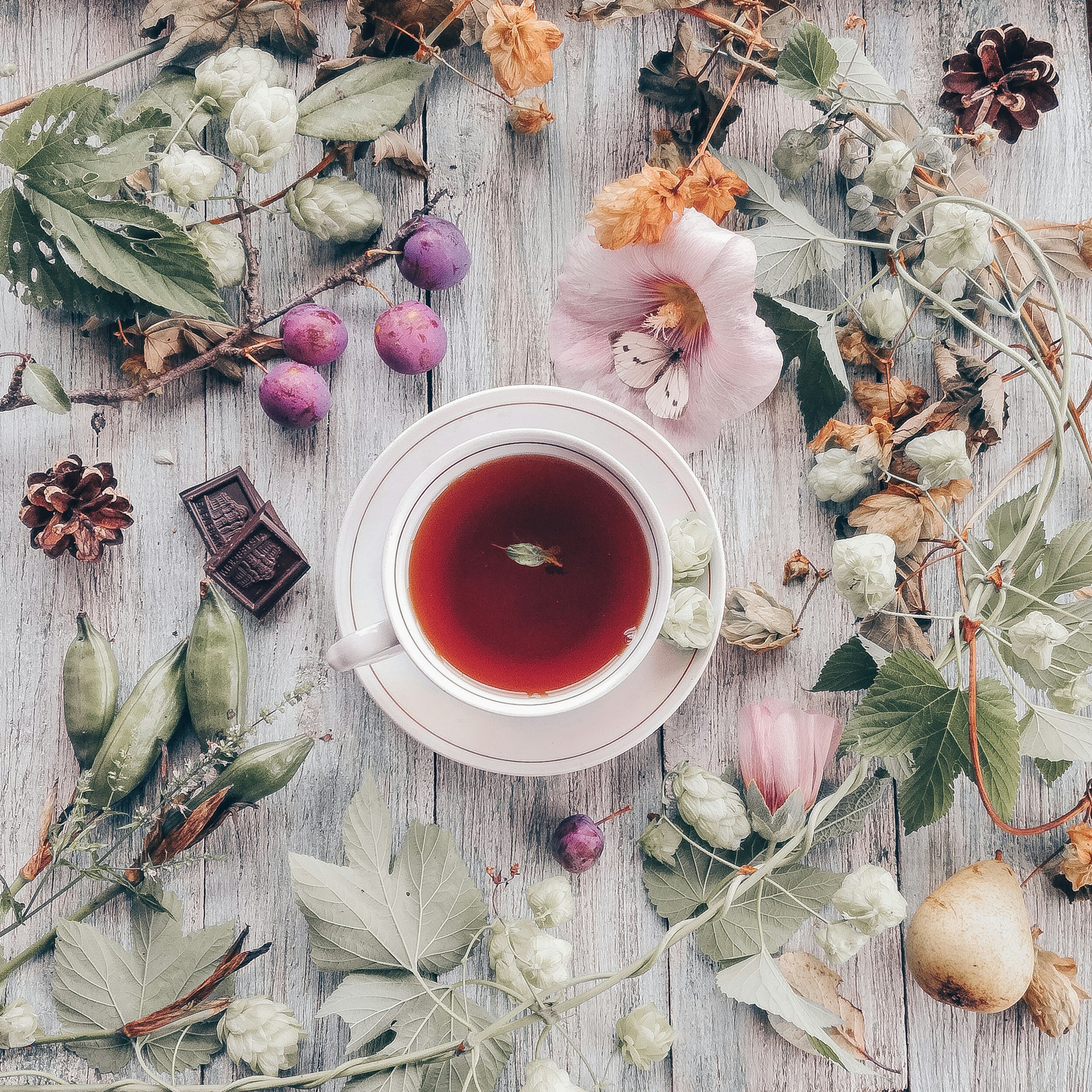 Mindful Beauty with Tea Ceremony Immersion