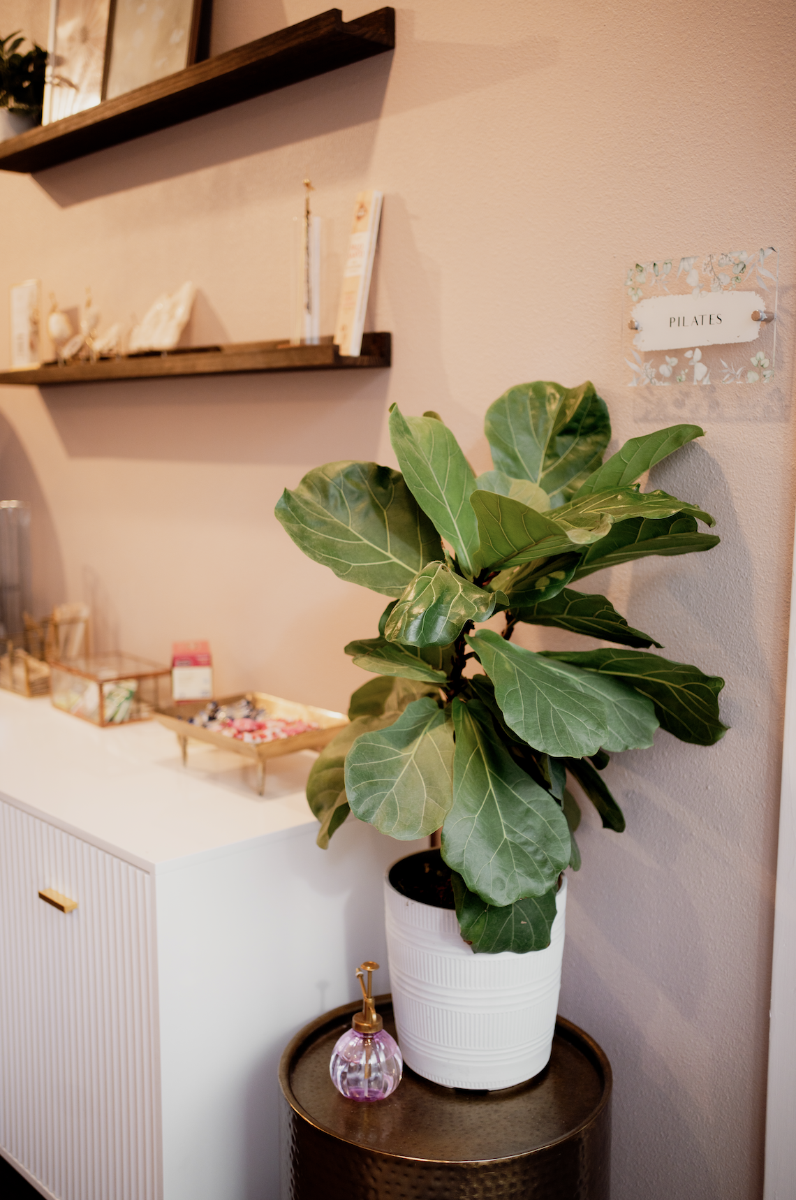 Fresh greenery and soft natural lighting in the reception area of Bliss Studio ATX.