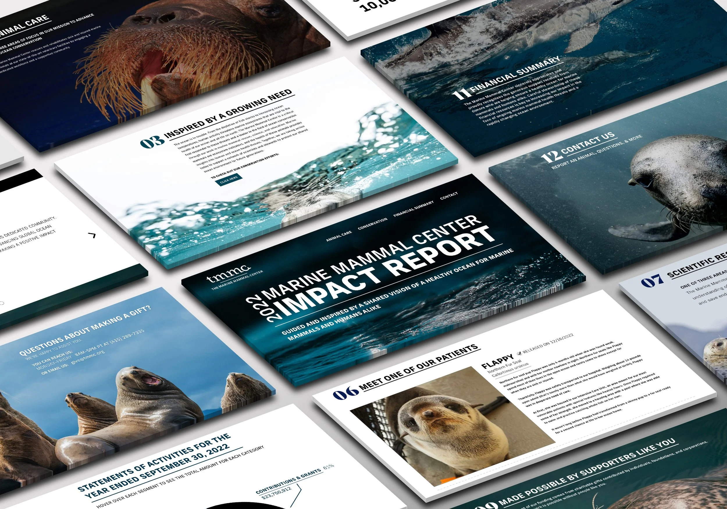 mmc-impactreport-mock.jpg