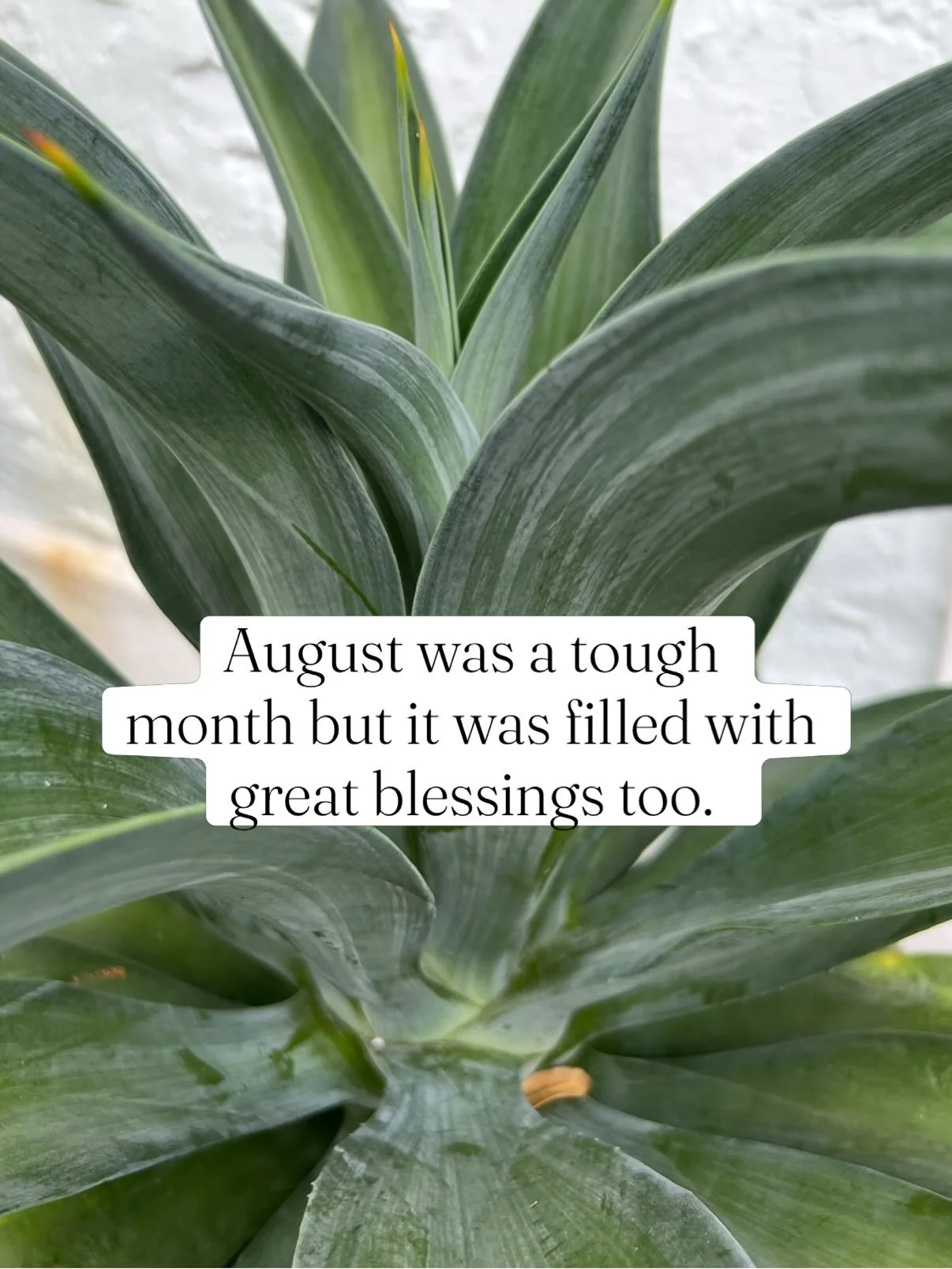August was a doozy of a month. The energy was tough, there were more challenges but I&rsquo;m counting all the beautiful blessings. Bye bye August. And hello almost September.