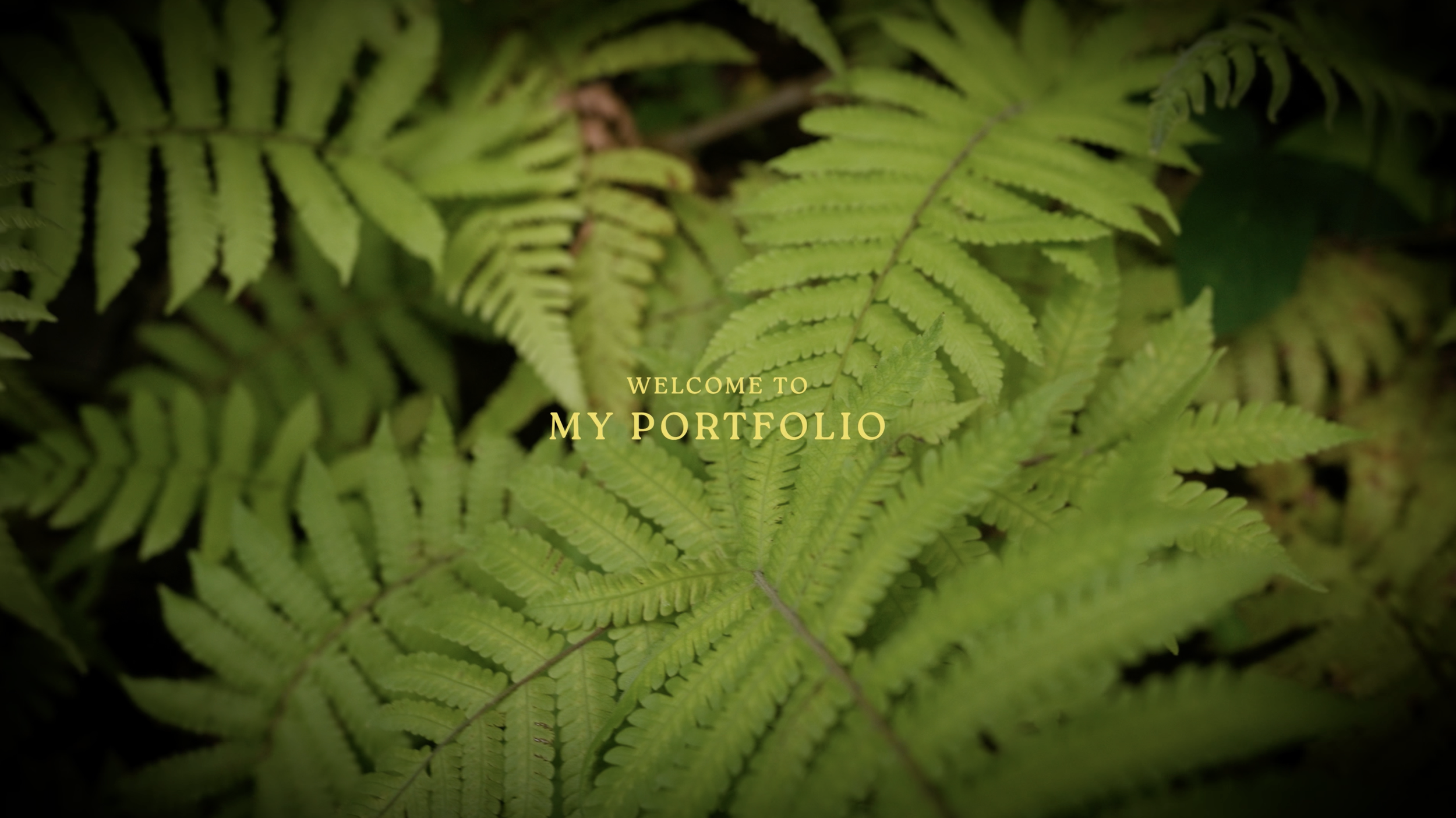 Screenshot 2025-10-10 at 11.49.19 AM.png