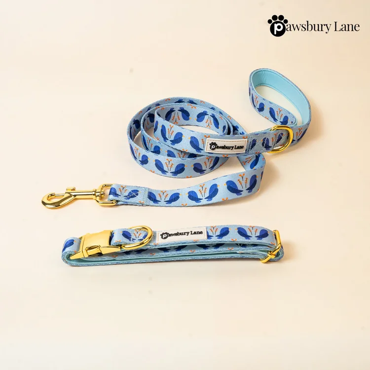 Lovebirds - Collar and Leash Set