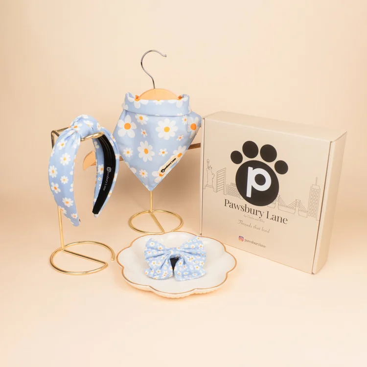 Daisy Day - Bundle & Save