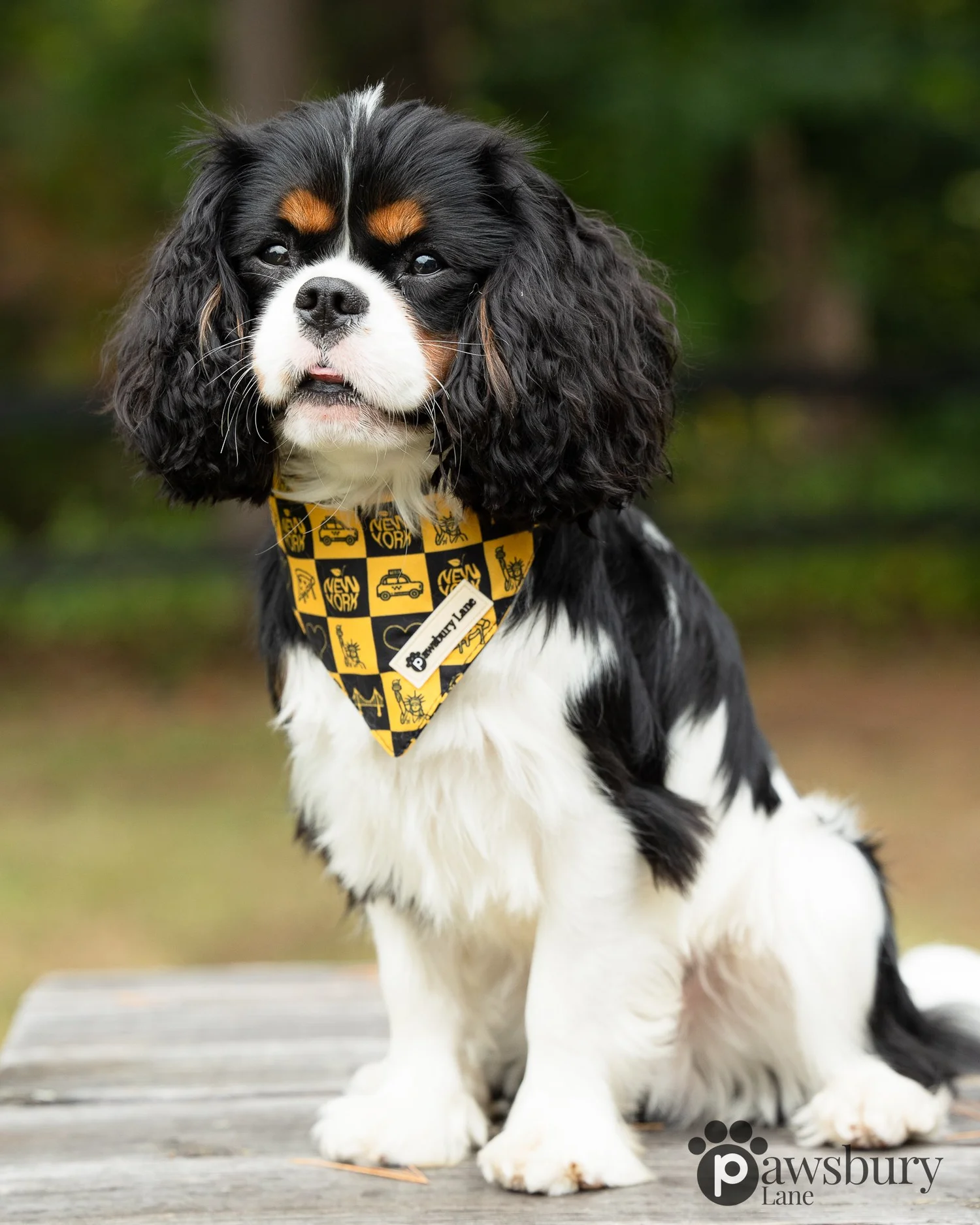 NYC Big Yellow Taxi  - Bandana