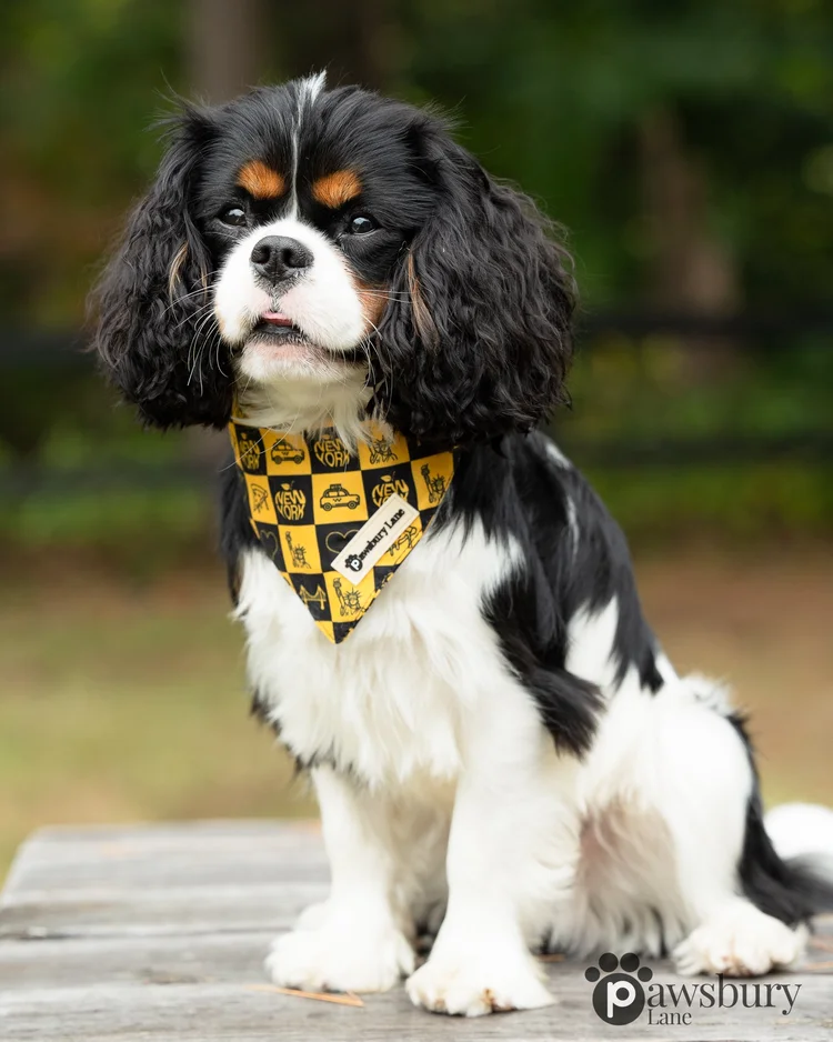 NYC Big Yellow Taxi  - Bandana