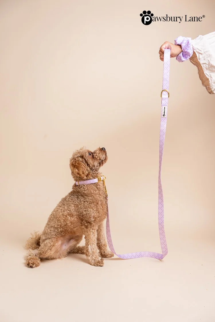 Lilac Diamonds - Collar and Leash Set