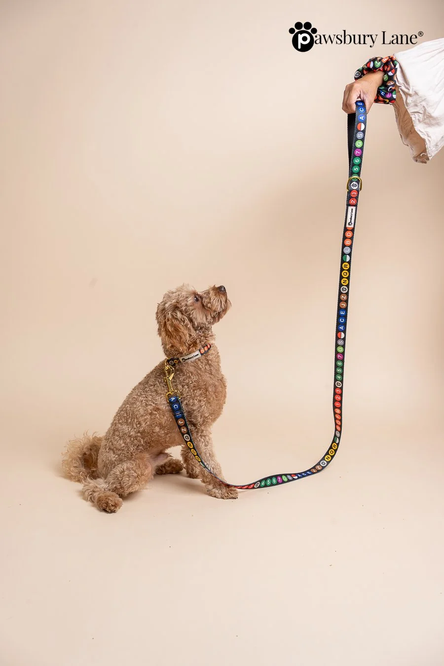 NYC Subway Series - Collar and Leash Set