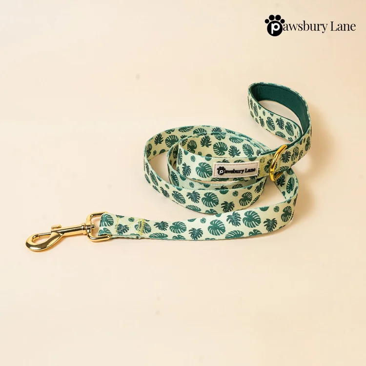 Monstera - Leash