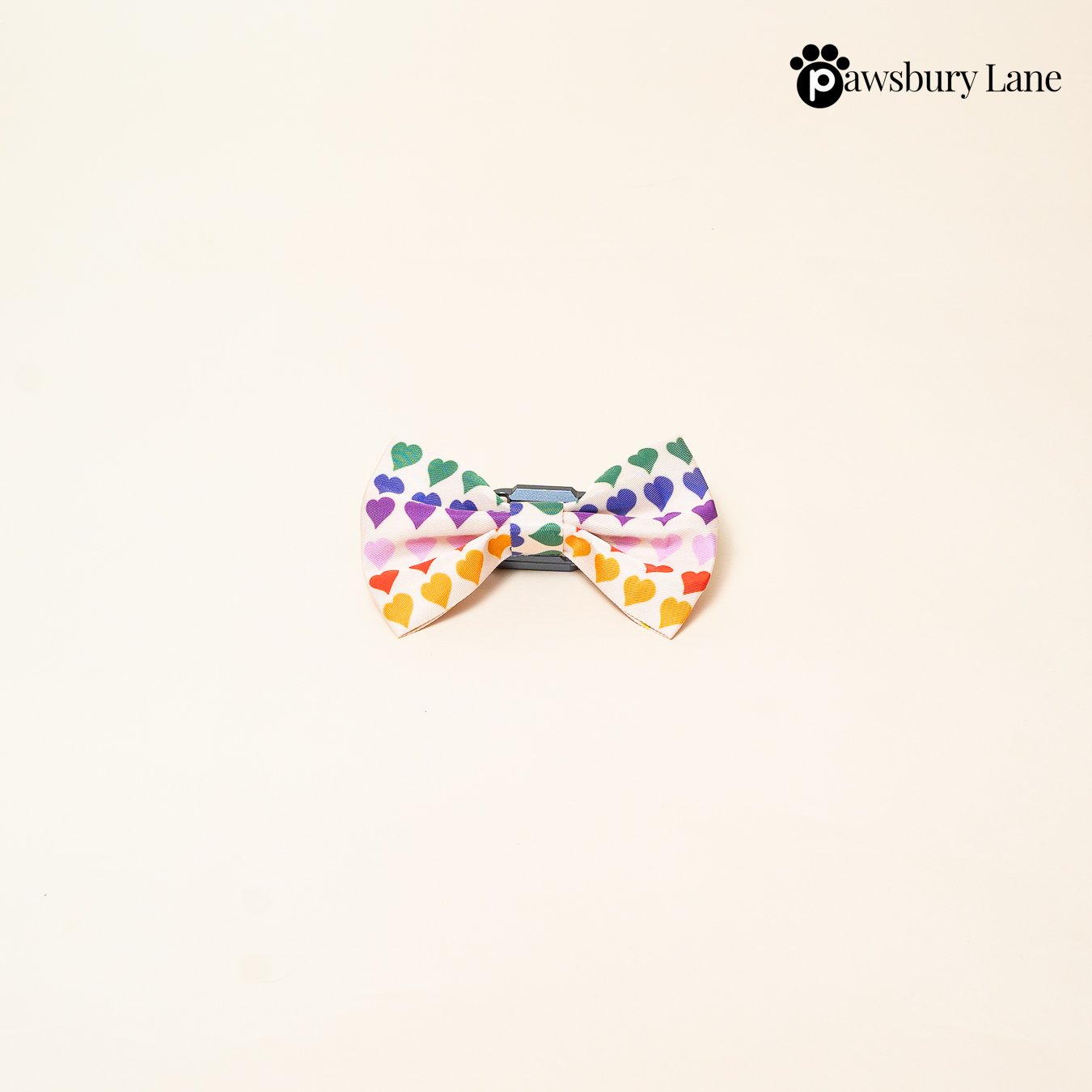 Love in Color - Penne Bow Tie
