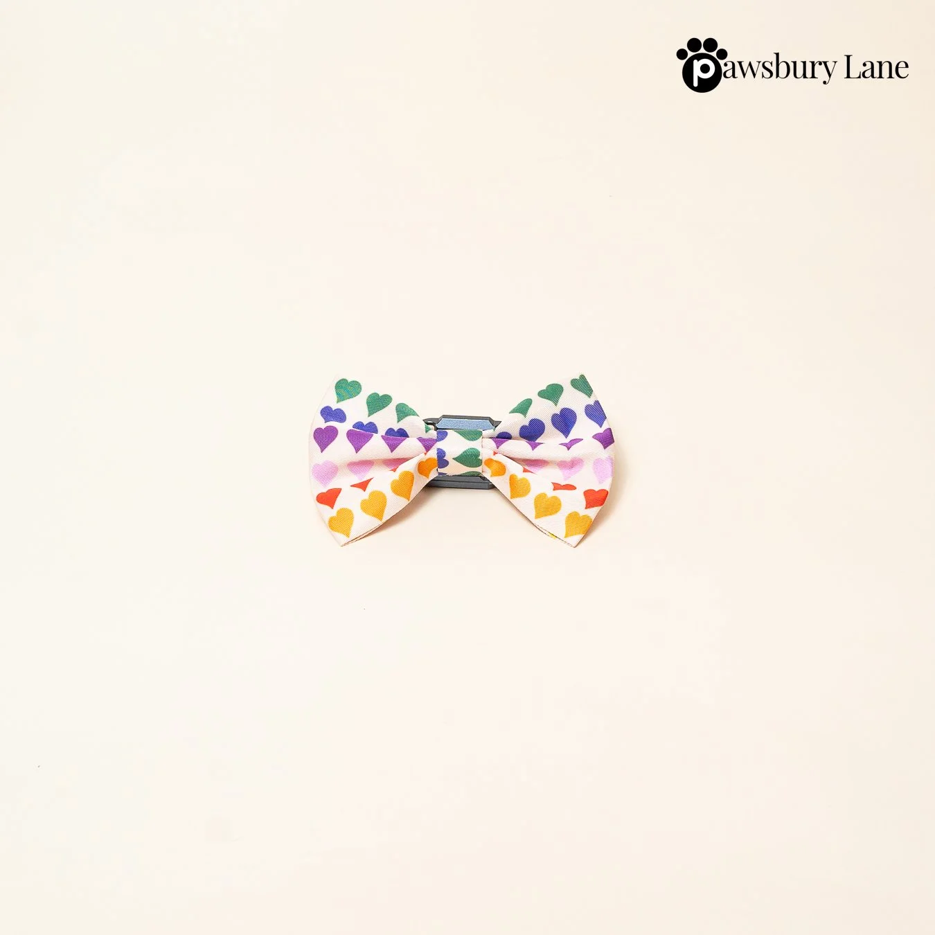 Love in Color - Penne Bow Tie