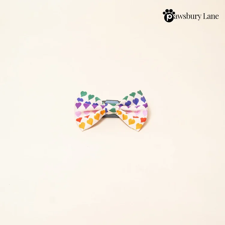 Love in Color - Penne Bow Tie