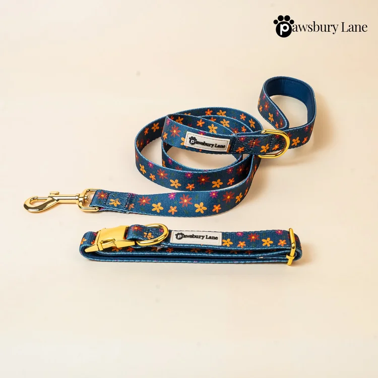 Midnight Blooms - Collar and Leash Set