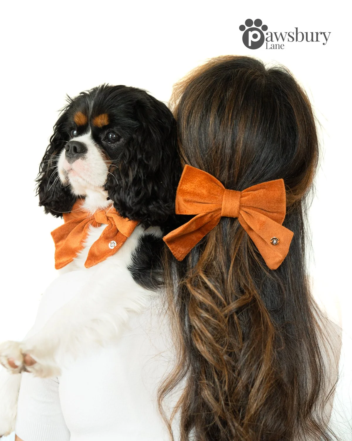 Classic Velvet - Cinnamon -  Human Bow Barrette and Pet Bow - Bundle & Save
