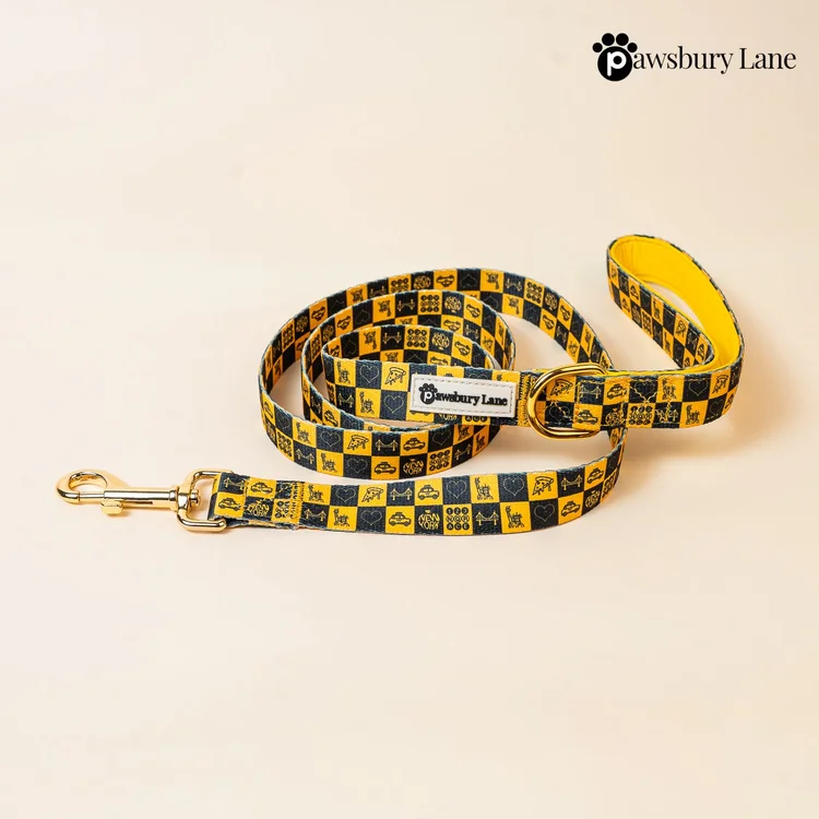NYC Big Yellow Taxi - Leash