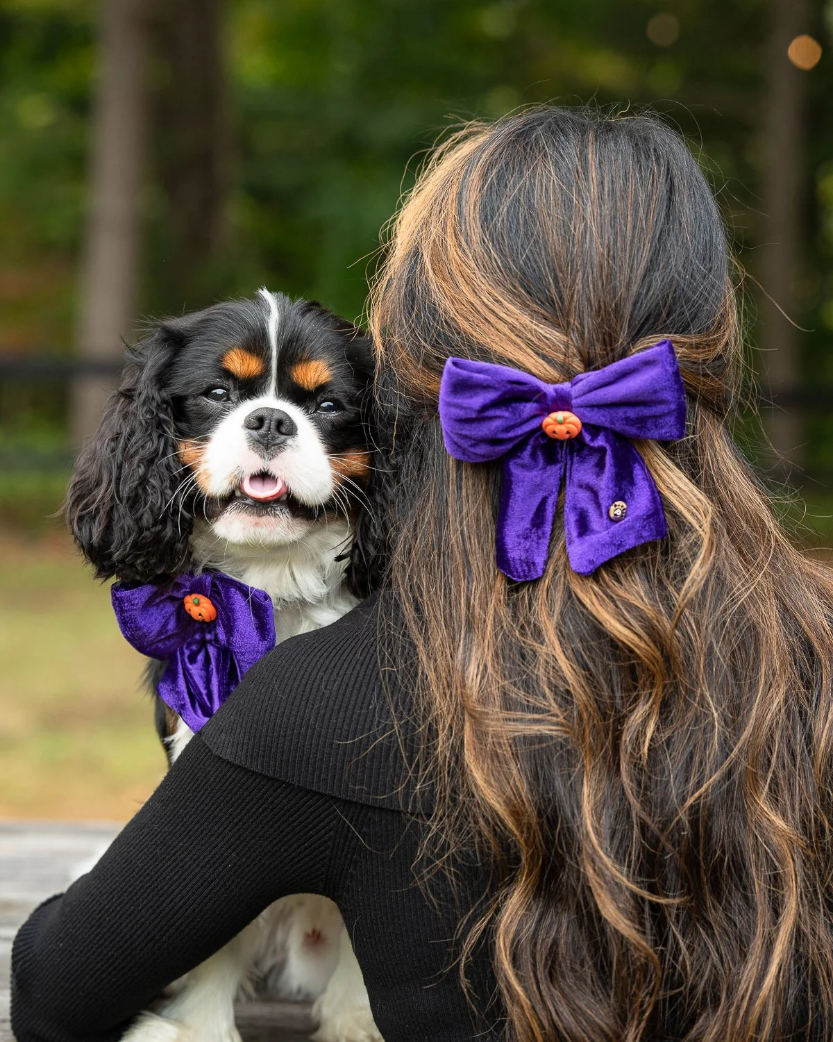 Halloween: Purple Velvet - Human Bow Barrette and Pet Bow - Bundle & Save