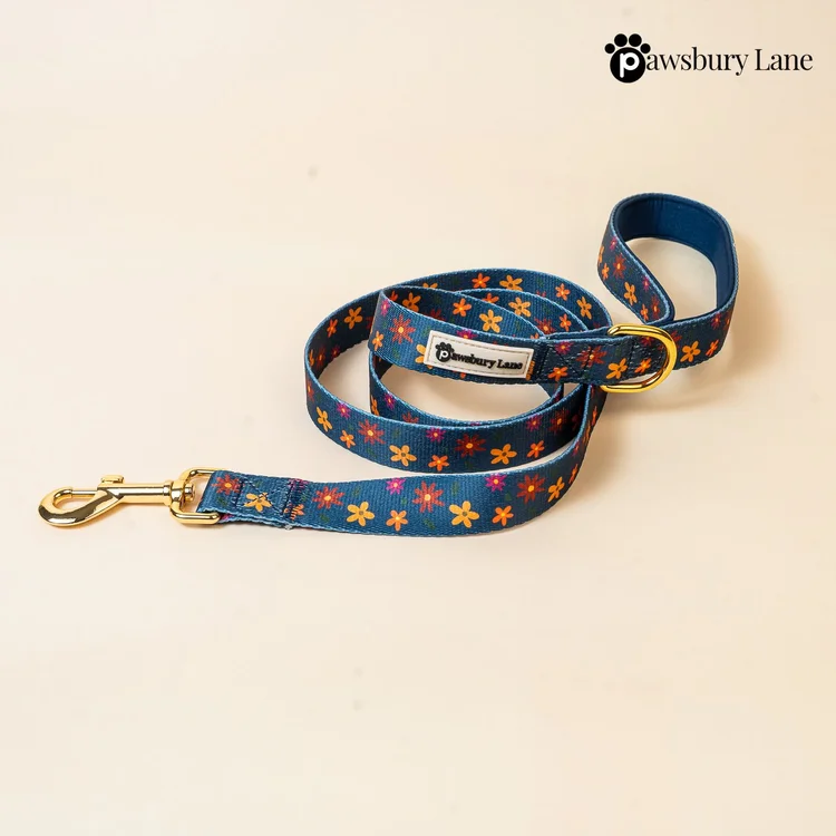 Midnight Blooms - Leash
