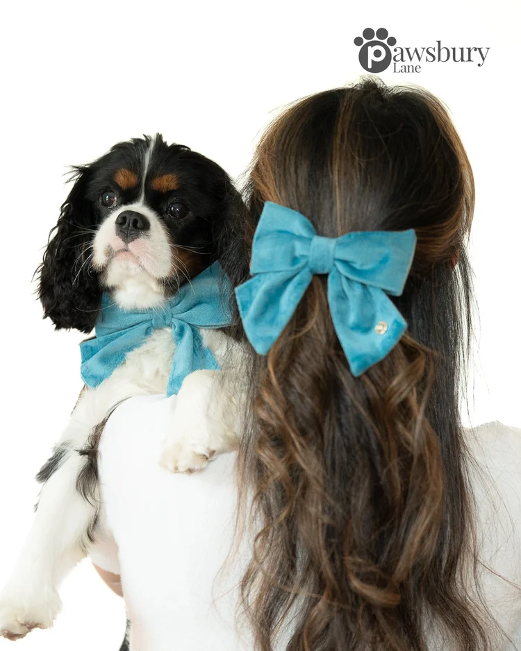 Classic Velvet - Turquoise - Human Bow Barrette