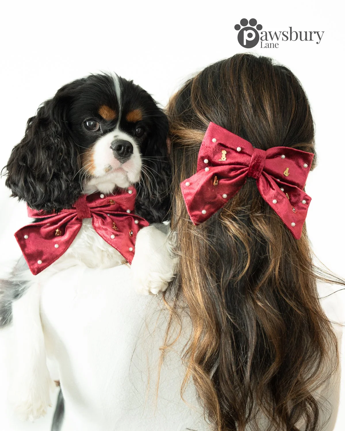 It's Snowing Cats and Dogs - Ruby - Human Bow Barrette