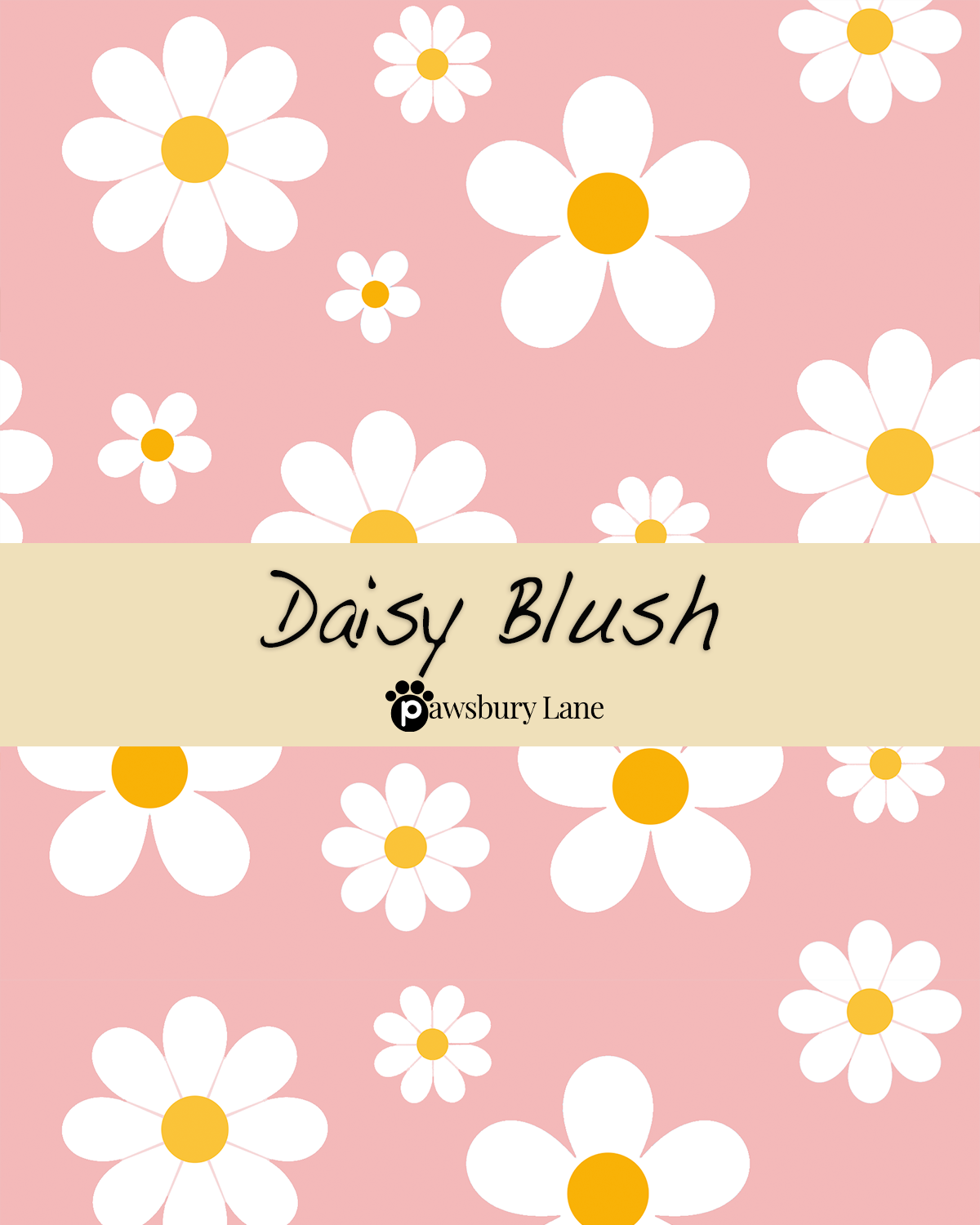 Daisy Blush.png