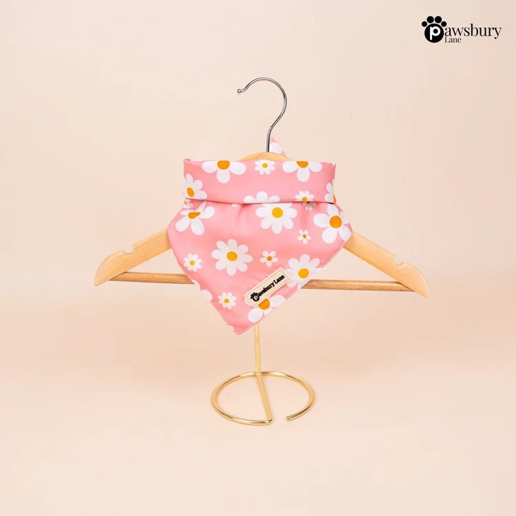 Daisy Blush - Bandana