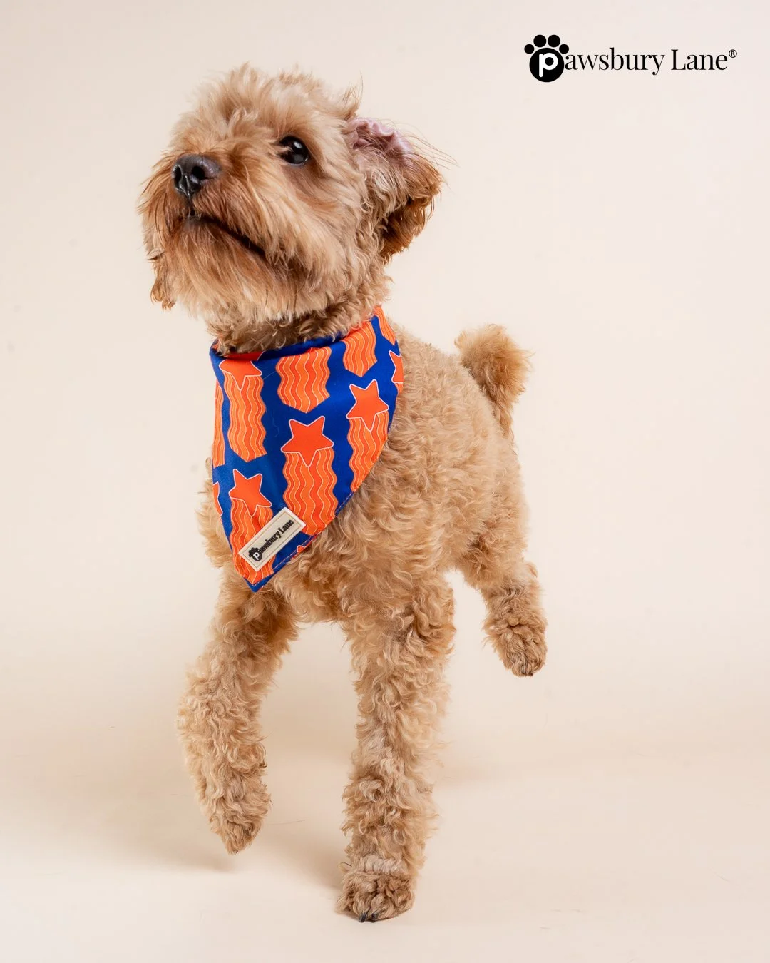 Game Day - Bandana
