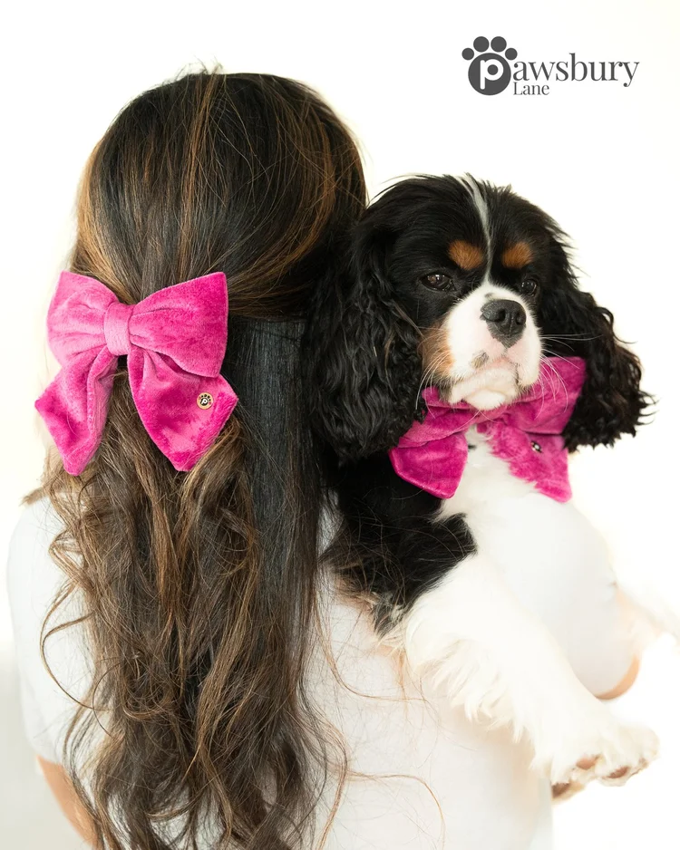 Classic Velvet - Berry Pop -  Human Bow Barrette