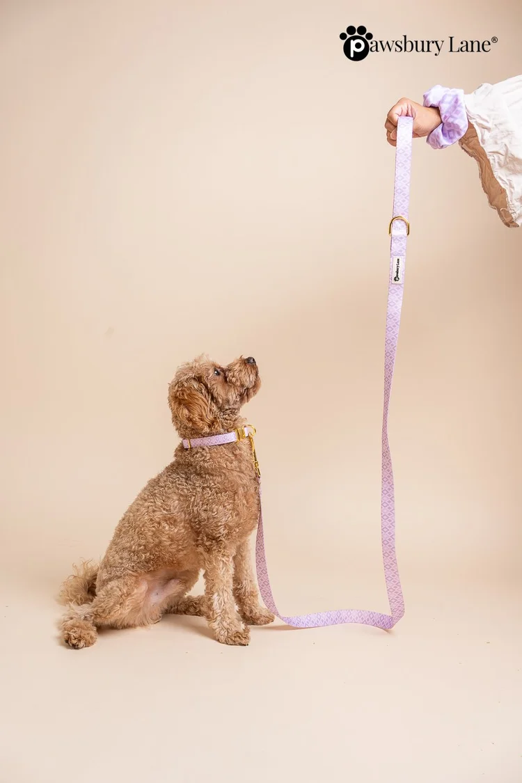 Lilac Diamonds - Leash