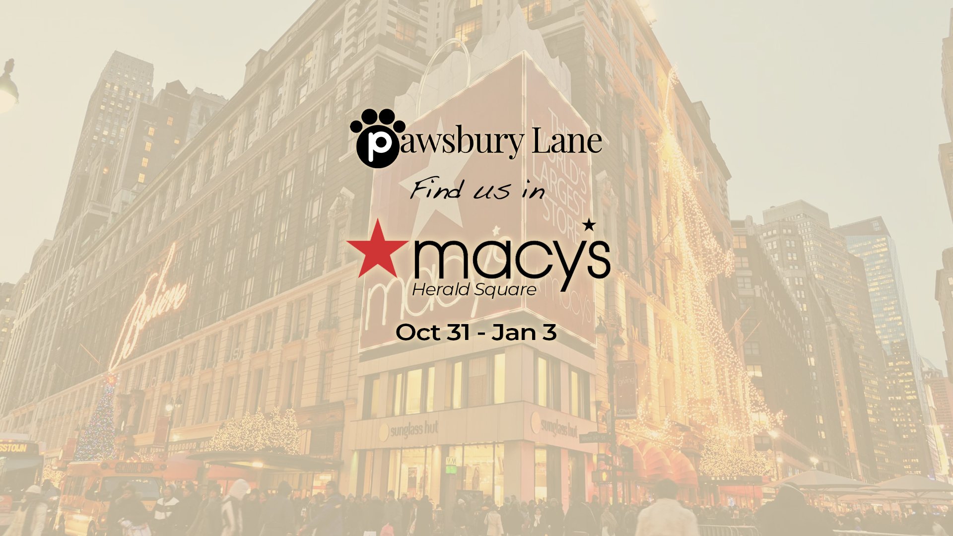 Live in Macys