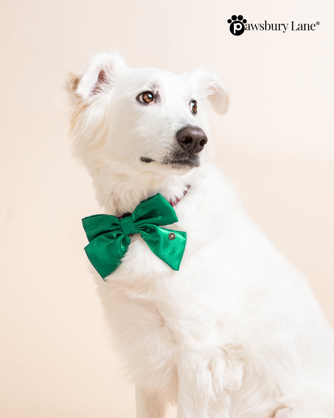 The Satin Collection - Dog Bow - Mistletoe Green