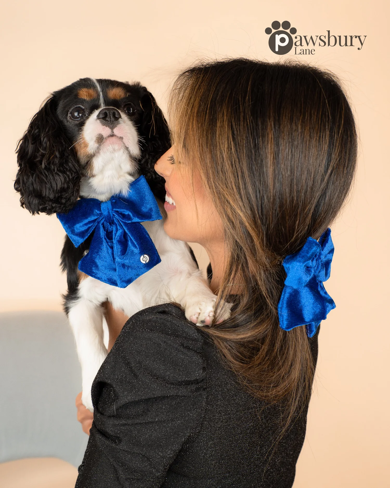 Dazzling Velvet - Blue -  Human Bow Barrette and Pet Bow - Bundle & Save