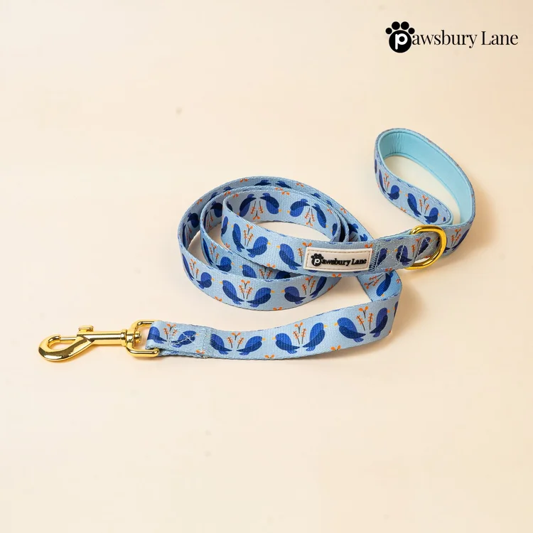 Lovebirds - Leash