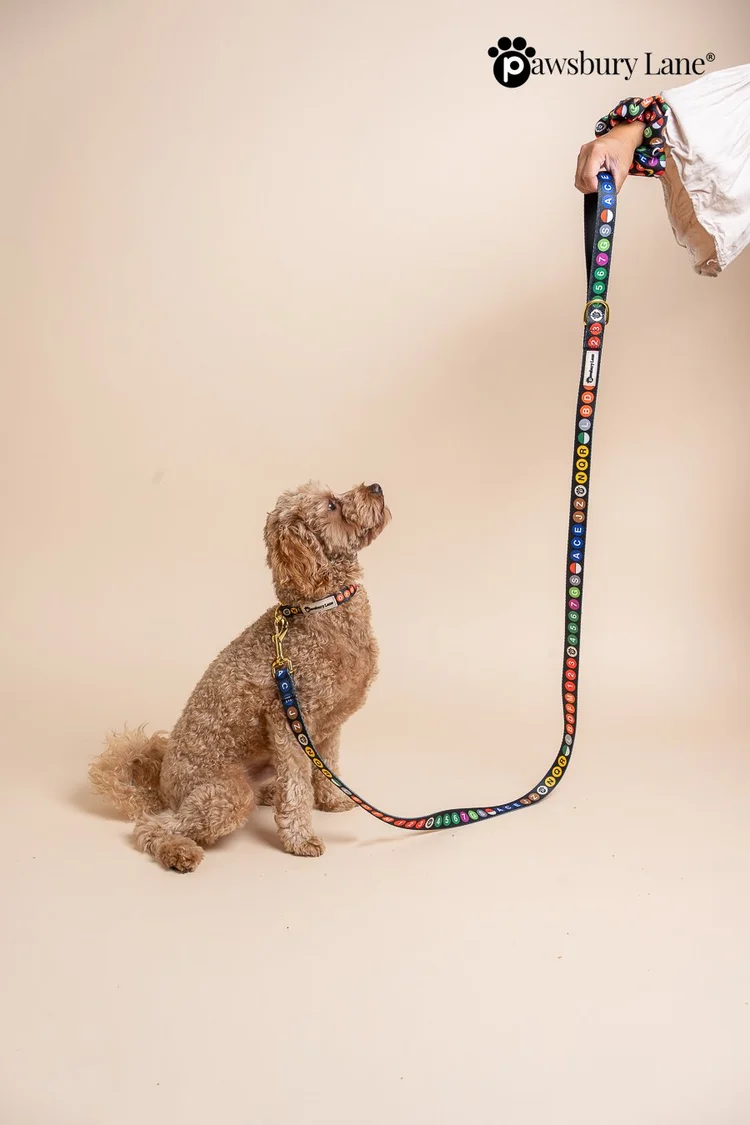 NYC Subway Series - Leash