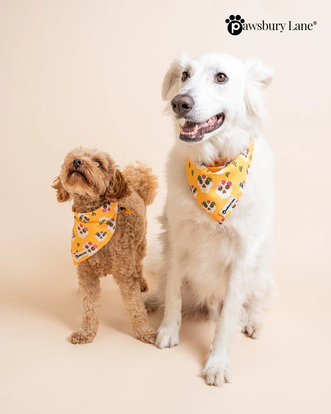 Skulls and Wildflowers - Bandana