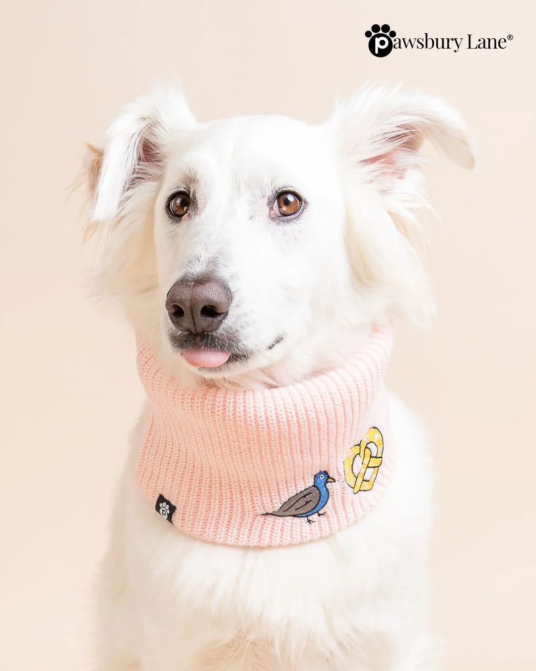 NYC Embroidered Knit Dog Snood – Pigeon & Pretzel (Pink)