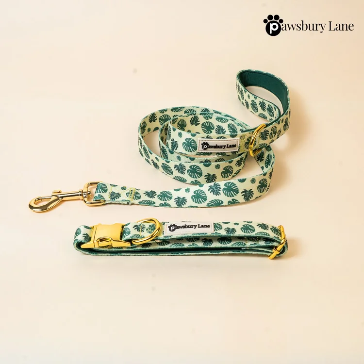 Monstera - Collar and Leash Set