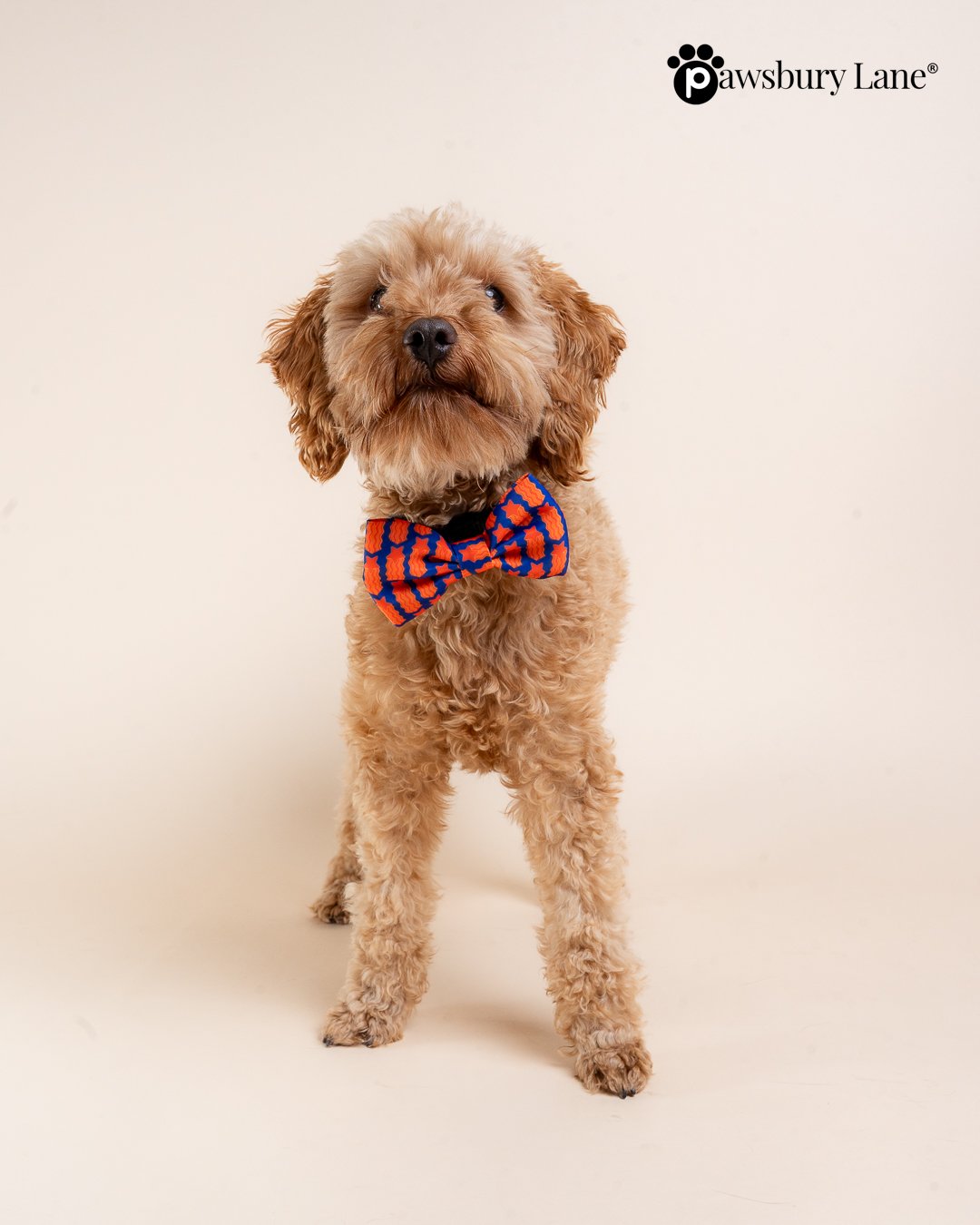 Game Day - Bow Tie