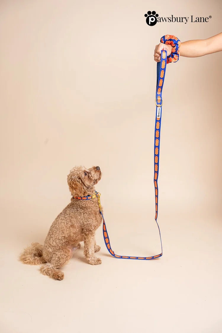Game Day - Leash