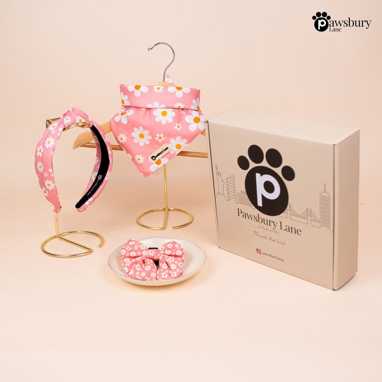 Daisy Blush - Bundle & Save