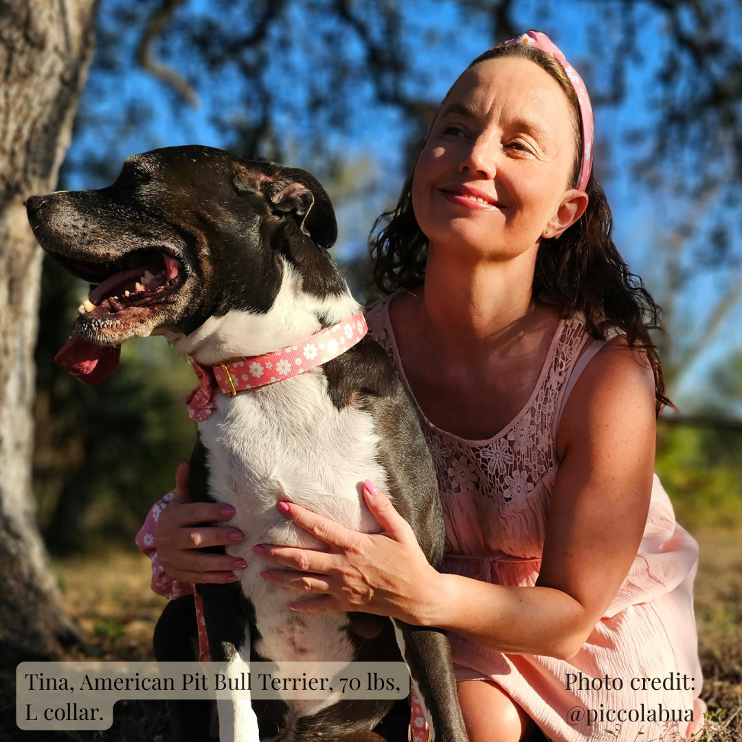 Tina in L collar.png