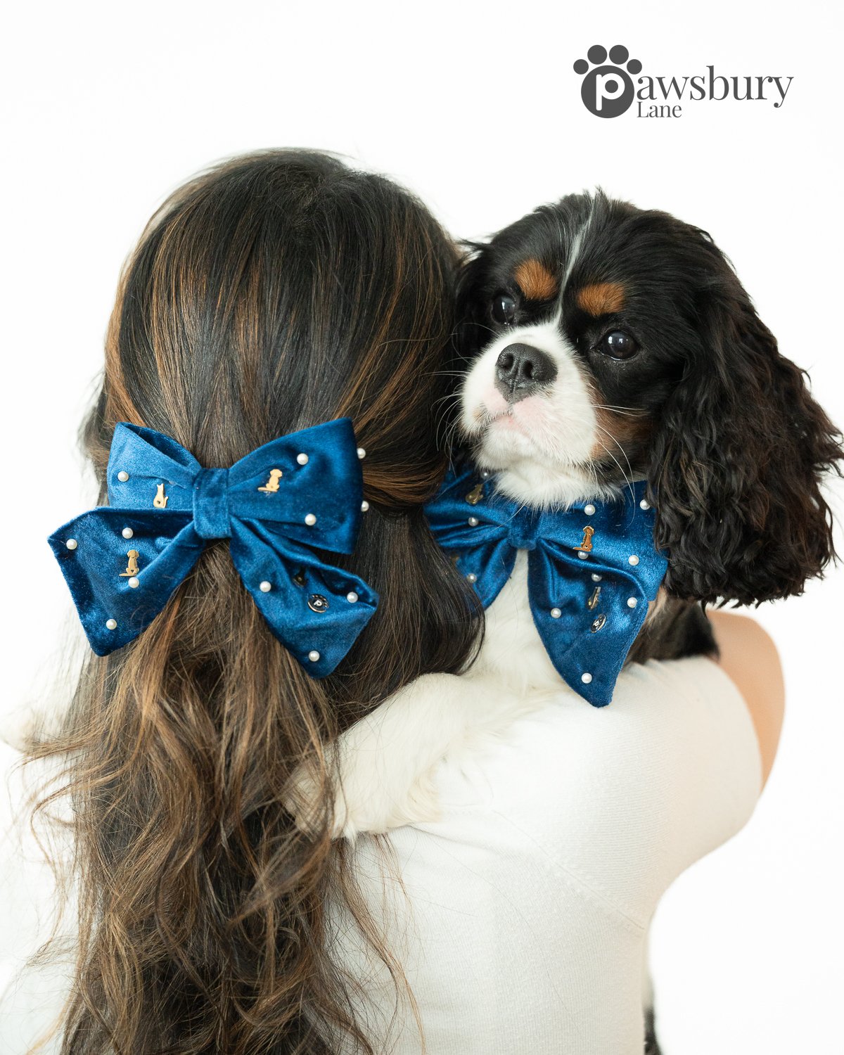 It's Snowing Cats and Dogs - Sapphire - Human Bow Barrette