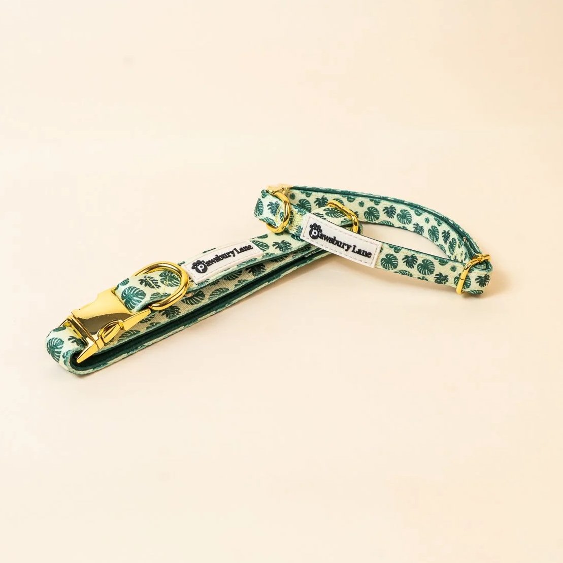 Monstera - Pet Collar