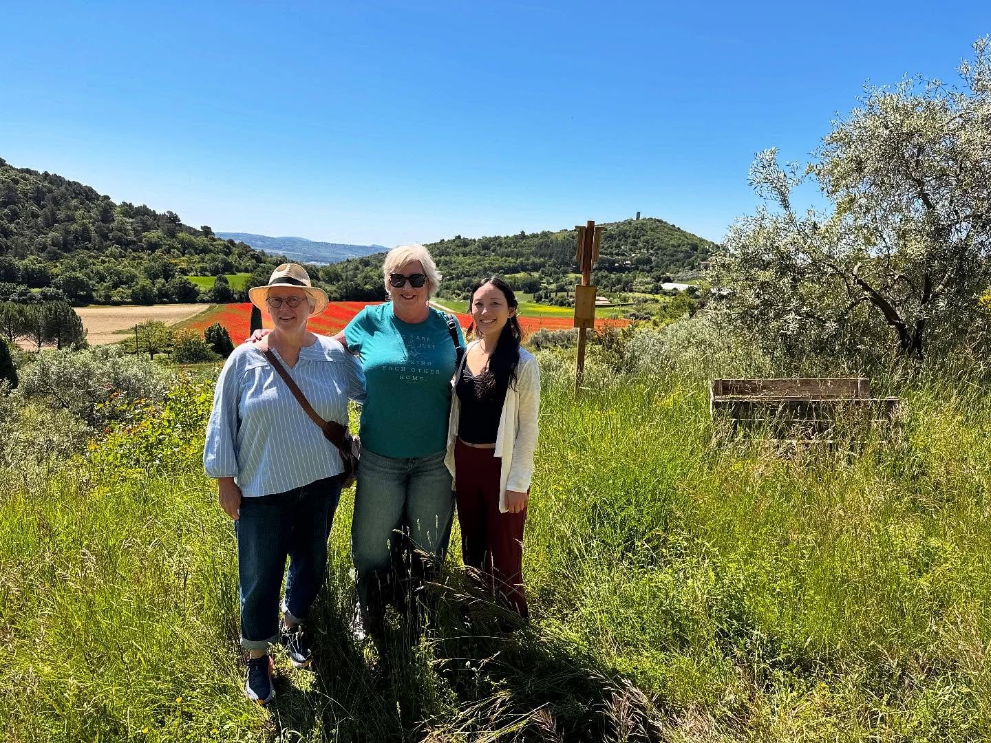 At La Soleillerie de Manosque we learned about olive trees, tasted olive oil, fruit syrups, and freshly picked cherries with my friend Cécile who runs an organic farm and agroforestry project 🍒
This land that she tends with much love has bee