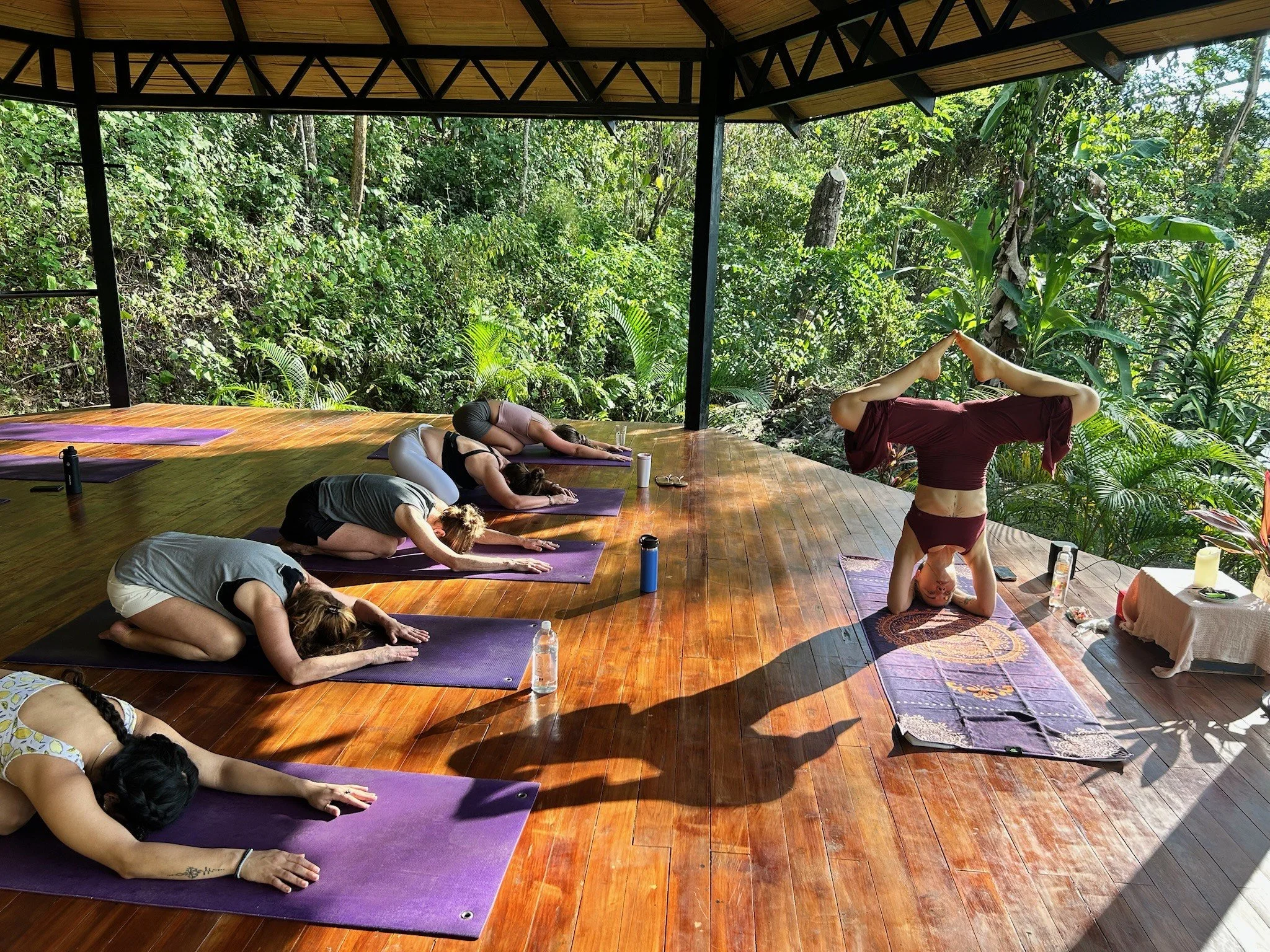 A group of women practicing yoga outdoors on purple mats on a wooden deck surrounded by lush greenery. One woman is performing a headstand, while the others are in child’s pose with arms extended forward.